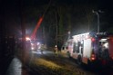 Container LKW umgestuerzt Koeln Brueck Bruecker- Dellbruecker Mauspfad P459